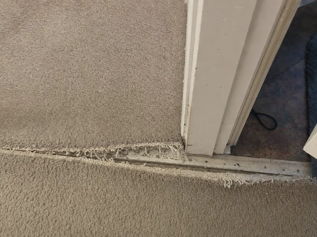 Carpet Repair in Burbank, CA