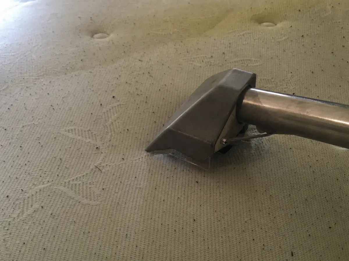 Mattress Cleaning in Burbank, CA
