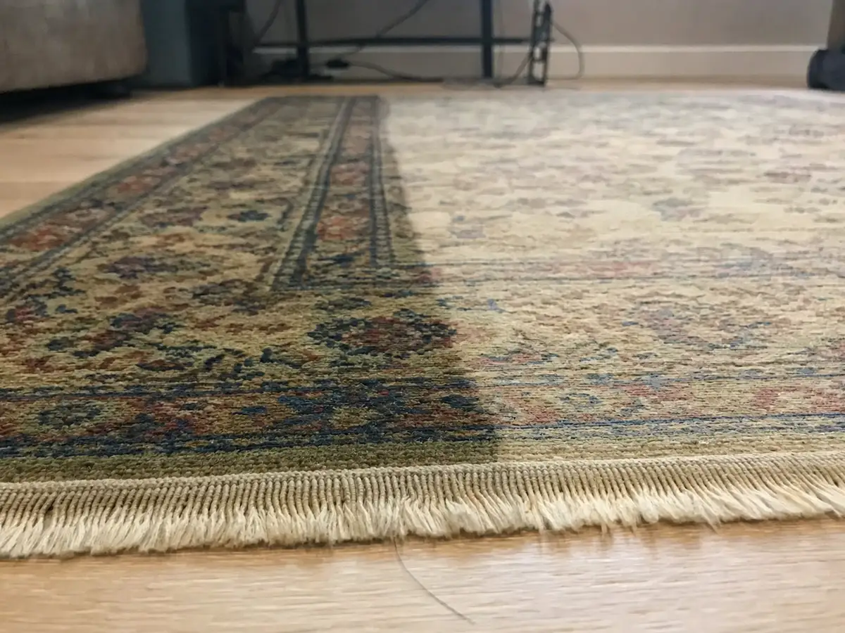 Rug Cleaning in Burbank, CA