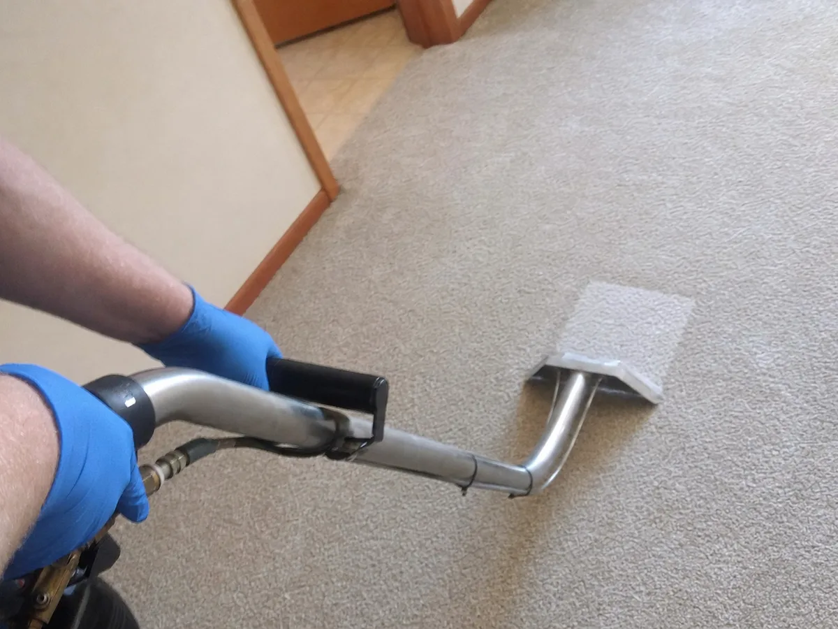 Steam Carpet Cleaning in Burbank, CA